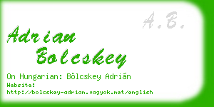 adrian bolcskey business card