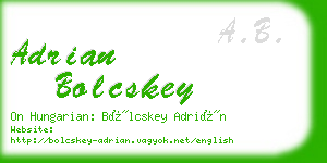 adrian bolcskey business card